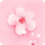 樱花8522tv播放器免费下载