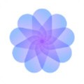 夜月app直播下载免费版