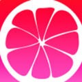 梅花视频一天看三次旧版app免费下载