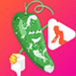 抖抈短视频appapk在线下载